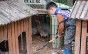长江路园萌娃五一劳动萌翻天