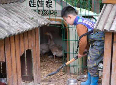 长江路园萌娃五一劳动萌翻天