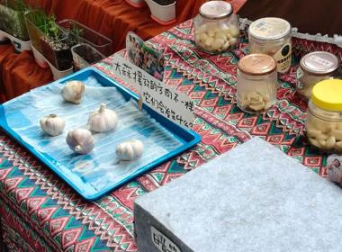 双减动态：打破“静态陈列”！长江路幼儿园教育集团把自然探究搬进班级角落